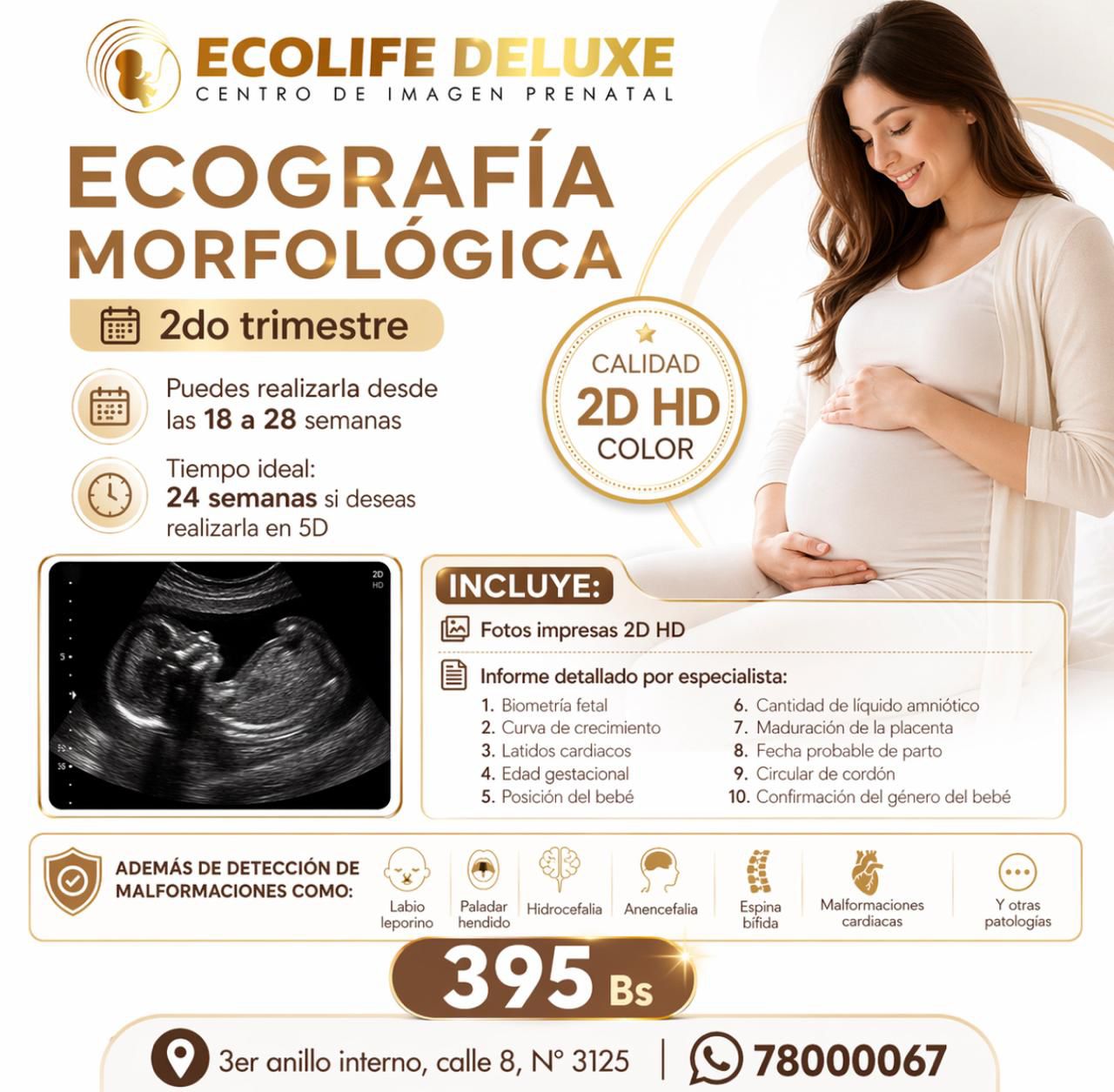 Ecografía Abdominal